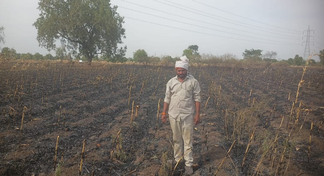 अमळनेर तालुक्यातील टाकरखेडा येथे शॉर्टसर्किटमुळे शेतीचे झाले नुकसान