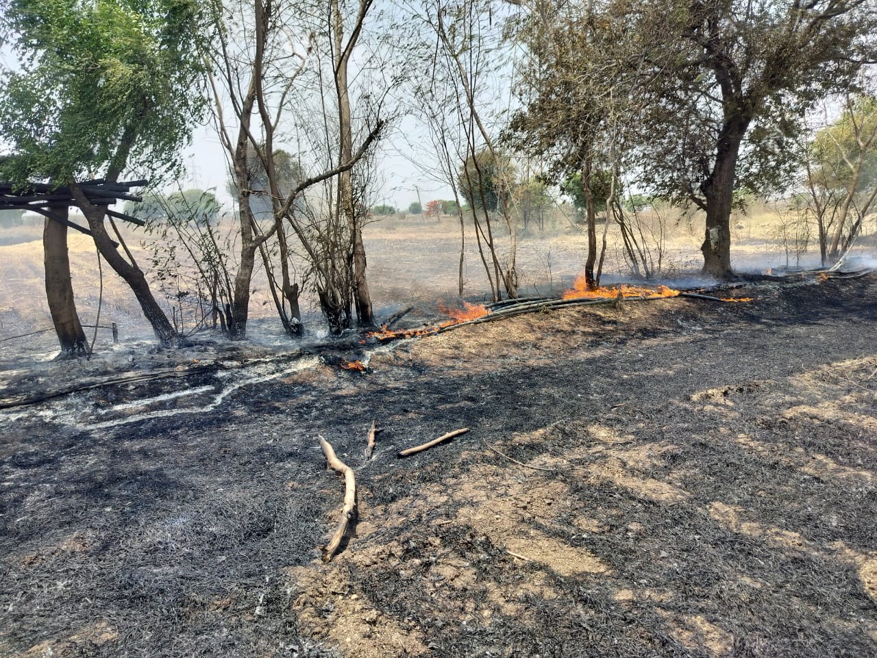 अमळनेर तालुक्यात शेतातील भीषण आगींचा कहर; ज्वारी पिकांचे मोठे नुकसान, शेतकऱ्यांत भीतीचे वातावरण