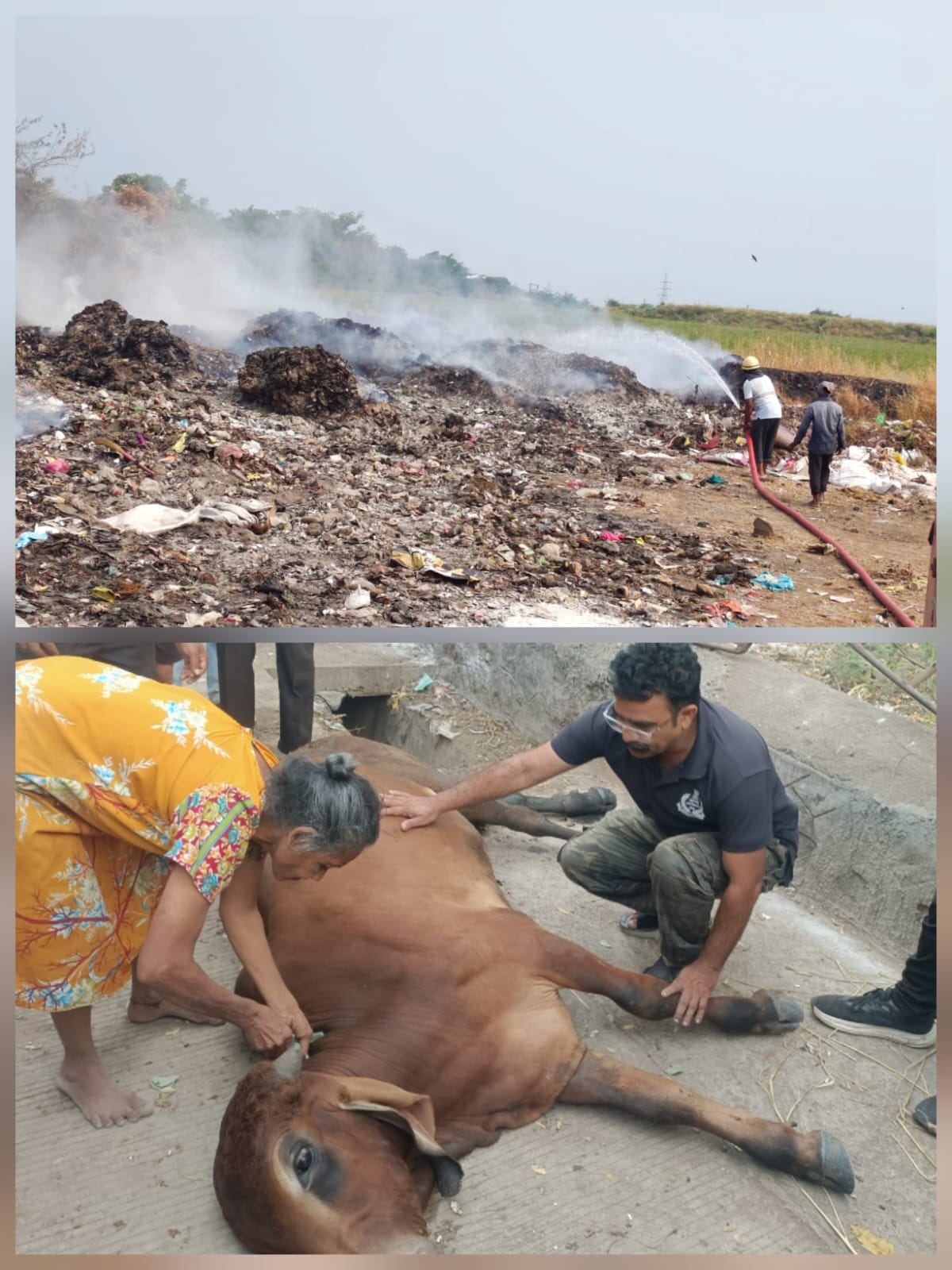 अमळनेर अग्निशमन दलाची कामगिरी कौतुकास्पद; तीन घटनांमध्ये तत्पर सेवा…  कचरा डेपोतील आग विझविण्यासाठी प्रयत्न; दोन गोऱ्यांना जीवदान देण्यात यश; अग्निशमन अधिकारी गणेश गोसावी यांच्या मार्गदर्शनाखाली कार्यवाही…
